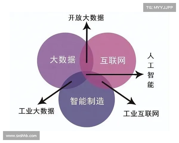 免费预测新机遇:如何利用数据分析提升决策精准度与效益 免费预测新机遇:如何利用数据分析提升决策精准度与效益